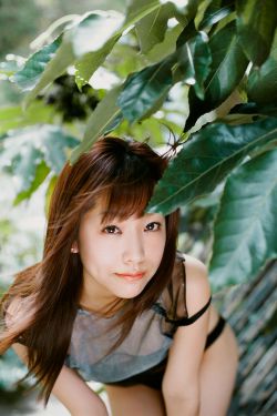 安乐传剧情分集介绍