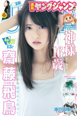 高HNP