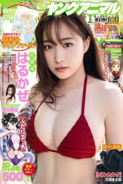 中华英豪 电视剧