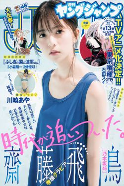 新白娘子传奇1-50全集免费观看